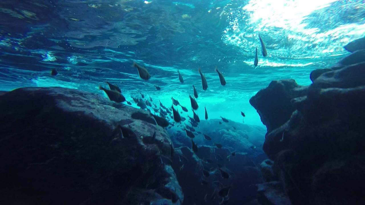 فندق Saipan Well House المظهر الخارجي الصورة